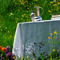 friluftsgudstjeneste19