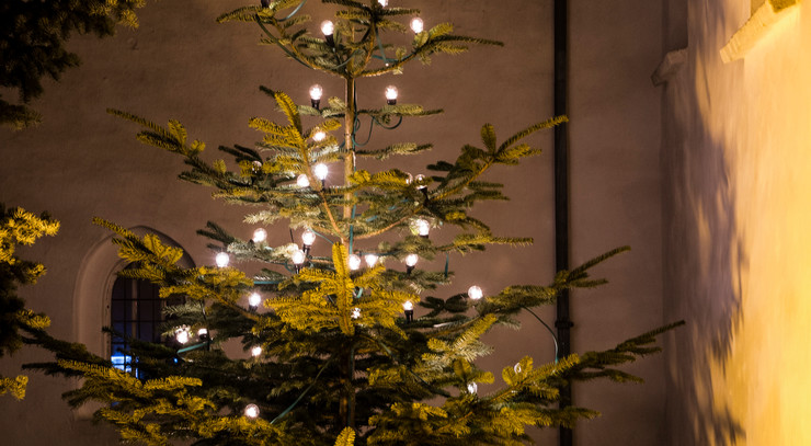 Juletræ Foto af juletræ